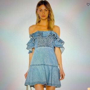 Tanya Taylor Lara Dress in light denim. Size 6 ruffle overlay, smocked bodice!